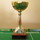 Founders Cup