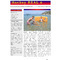REALzine 3 (ago. '13) REALzine 3 (ago. '13)