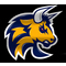 HC Torino Bulls