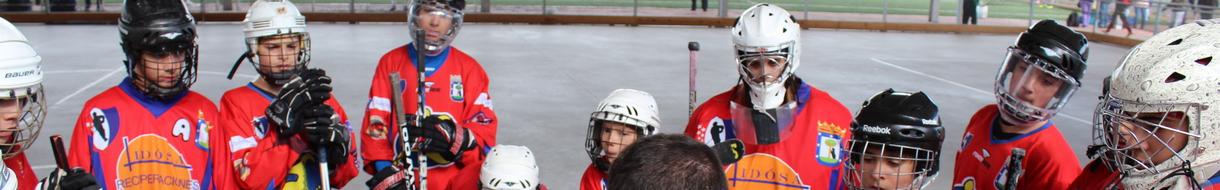 Liga FMP Hockey Línea