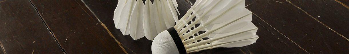 Newbury and District Badminton Assn