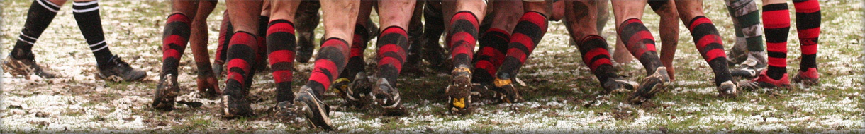 Warwickshire Colts