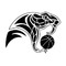 Vale Vipers Twitter