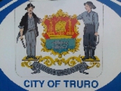 TRURO & DISTRICT POOL LEAGUE - Logo