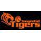 Tonyrefail Tigers Basketball Club