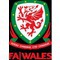 Football Association of Wales