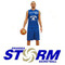 Swansea Storm Facebook