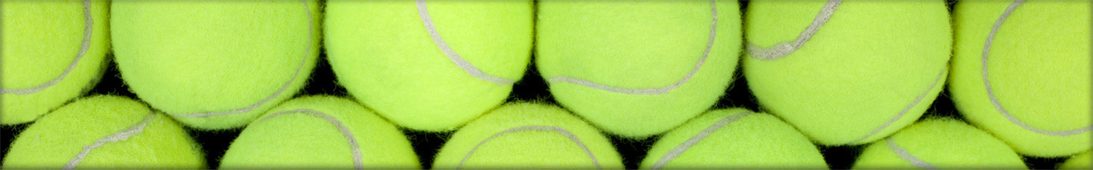 Texas Team Tennis Association