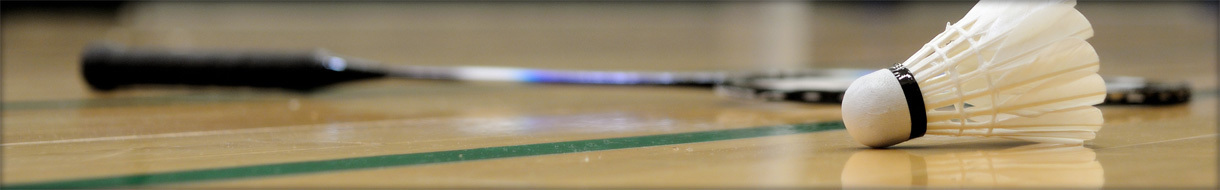 Plymouth & District Badminton League