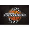 Pontypridd Panthers Basketball Club