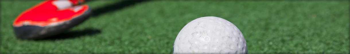 Derbyshire Summer League