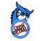 Leeds Softball Association