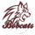 Bobcats