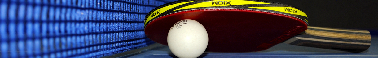 Namibia Table Tennis Association