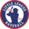 Junior league baseball