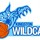 Kingston Wildcats