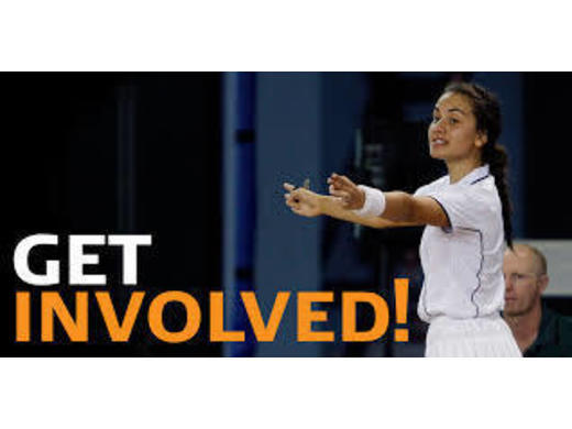 Interested in Umpiring?