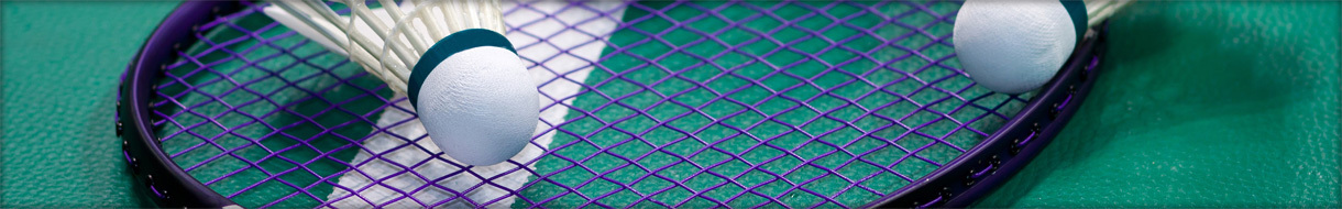 Intramural Badminton