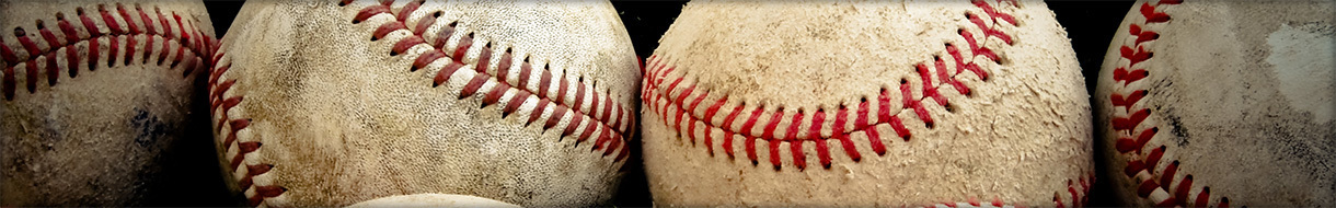 FEDERACION DEPORTIVA PERUANA DE BEISBOL