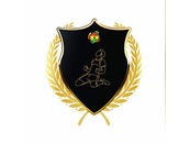 Ghana Pro League Logo