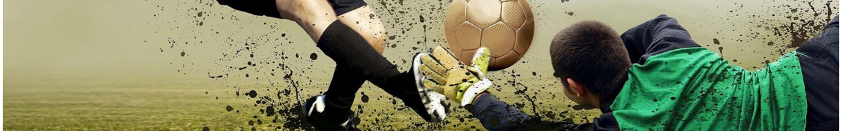 International Football League of Israel