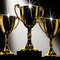 Open Div 1 Winners