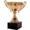 Division One Winners