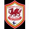 Cardiff City