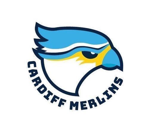Cardiff Merlins Win SWWBL Championship Game
