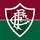 FLUMINENSE