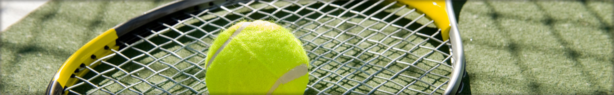 South Norfolk Tennis League