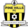 Pine Hills U8 Victory