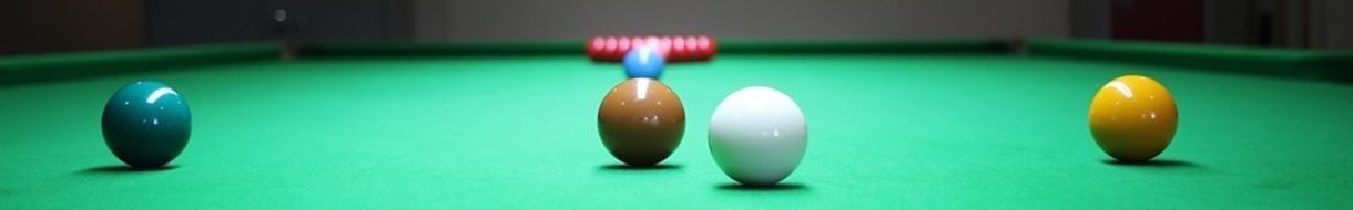 Stafford & District Billiards & Snooker League