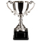 PREMIER DIVISION CHAMPIONS