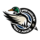 Michigan Mallards