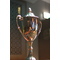 Previous ArchiSoccer Cup Winners
