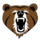 Worcester Bears