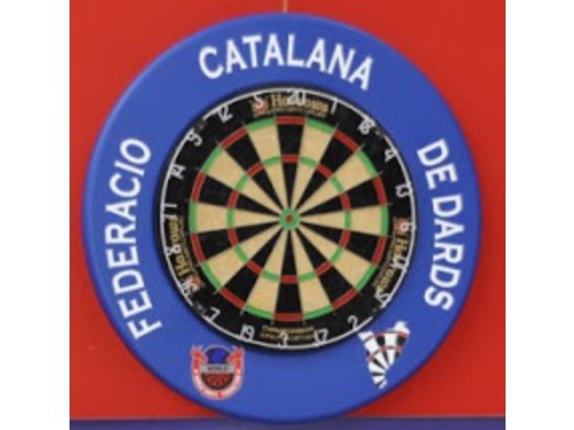 Gestor de la Lliga Catalana: funcionament, eines i estadístiques