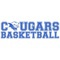Cynffig Cougars