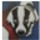 Ball Room Badgers