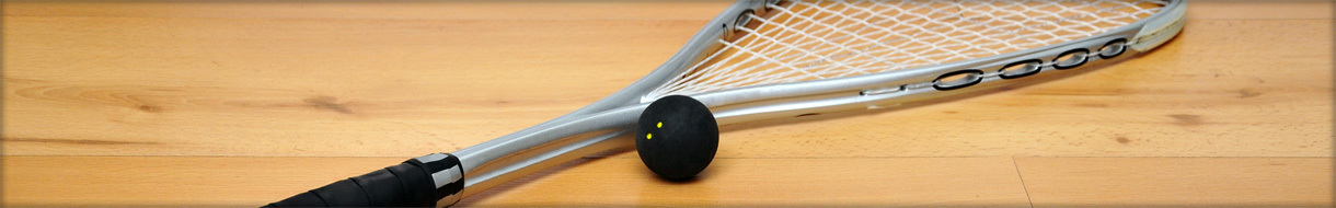 Ulster Squash