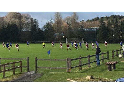 Weekly Round Up
