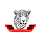 Ashford Cricketers FC