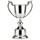 Senior K.O. Cup