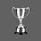 Premier Division Champions