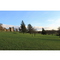 2.5k Loop 5k Balloch Route Alternative