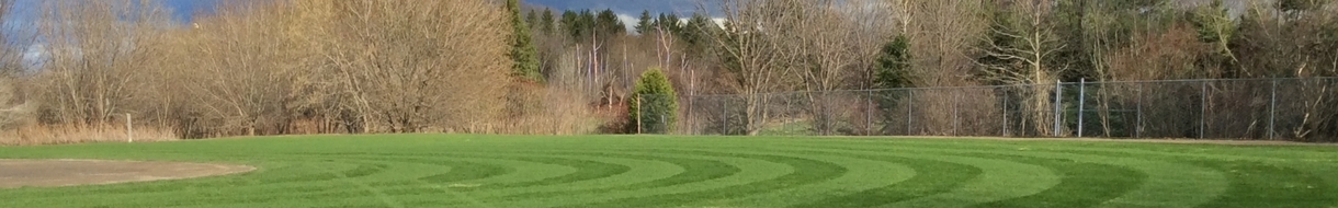 DARA Softball balle lente de l'ARMA