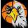 Haywards Heath Eagles U11