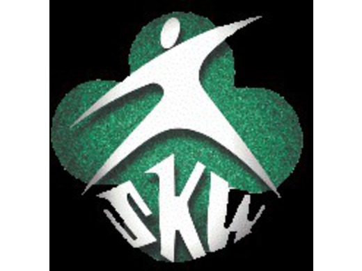 SKW Logo