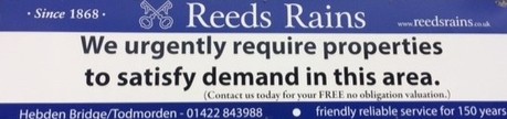 Reeds Rains